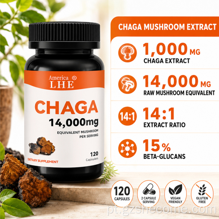 Cápsulas de Cogumelos Shecome Cogumelos Chaga Apoiam a Saúde